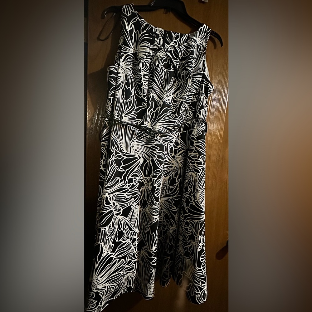 NWT black and white sleeveless dress